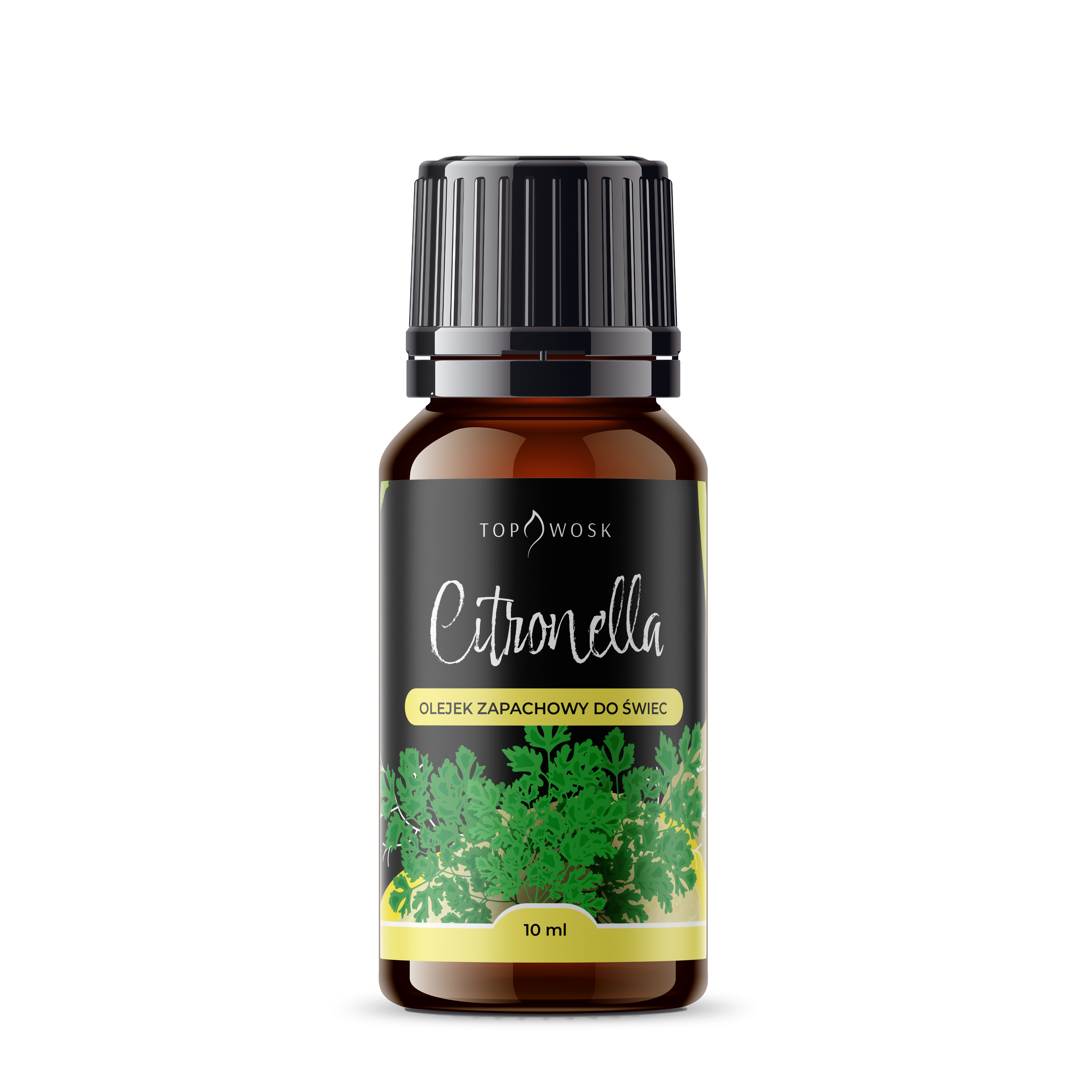 Fragrance oil - Citronella