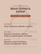 Nuty zapachowe olejku do świec Black Orchid & Amber. Nuty głowy: Nuty Kwiatowe, Zielone, Cytryna. Nuty serca: Bursztyn (Ambra), Jaśmin, Gałka muszkatołowa, Orchidea. Nuty bazy: Benzoes, Nuty Orientalne, Drzewo sandałowe, Piżmo.
