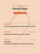 Nuty zapachowe olejku do świec Owoce lasu. Nuty głowy: Czarna porzeczka, Czerwone owoce. Nuty serca: Nuta pomarańczy, Runo leśne. Nuty bazy: Wanilia, Drzewo sandałowe, Nuta mleczna.